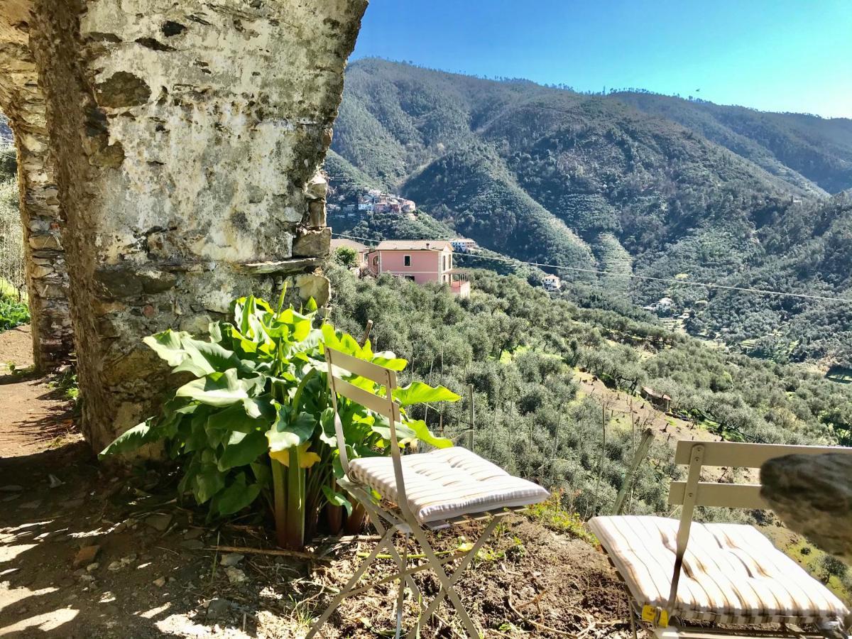 Agriturismo Sancristoforo Levanto Ngoại thất bức ảnh